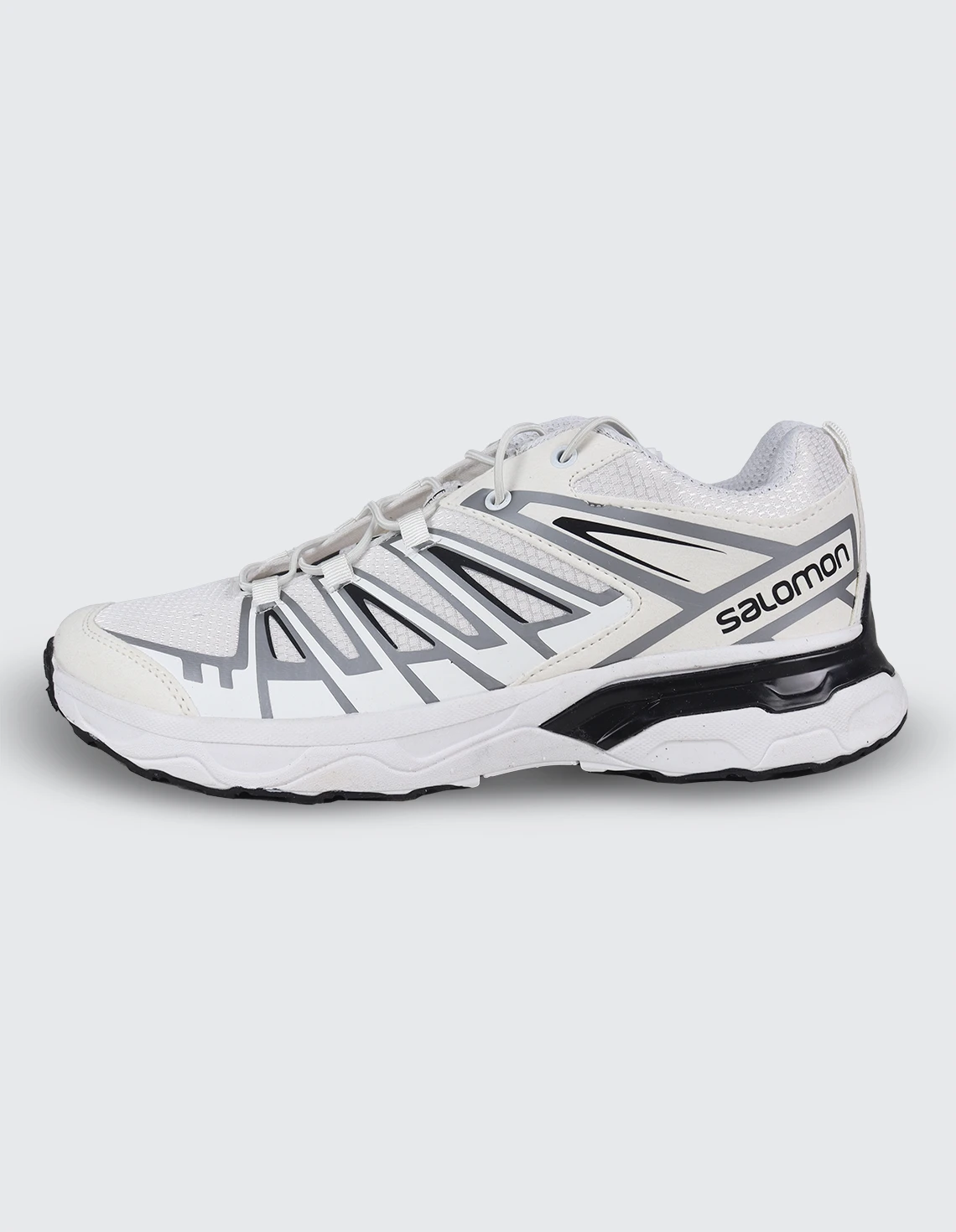 کفش ورزشی زنانه سالامون X Ultra 3 GTX W